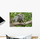 Koala Mom Baby