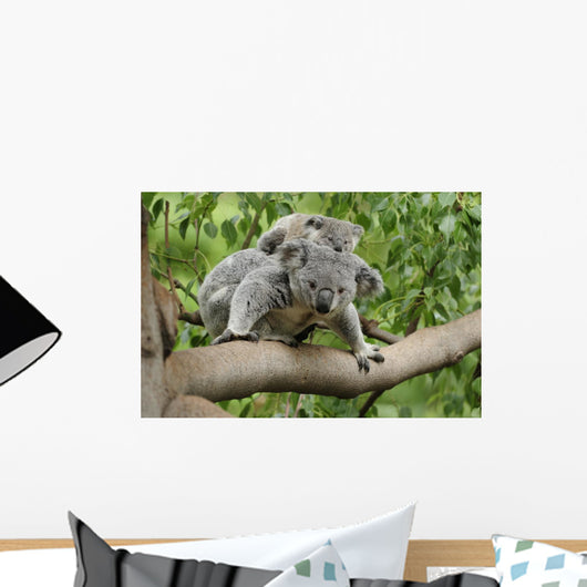Koala Mom Baby