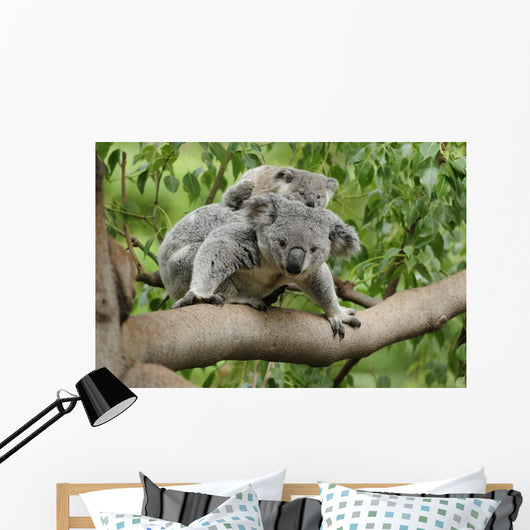 Koala Mom Baby