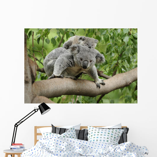 Koala Mom Baby