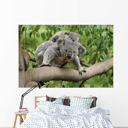 Koala Mom Baby