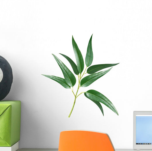 Eucalyptus Wall Decal
