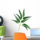Eucalyptus Wall Decal