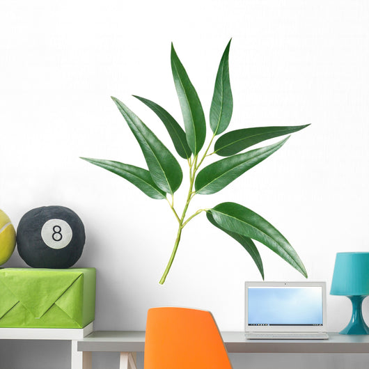 Eucalyptus Wall Decal