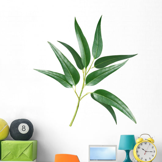 Eucalyptus Wall Decal