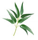 Eucalyptus Wall Decal