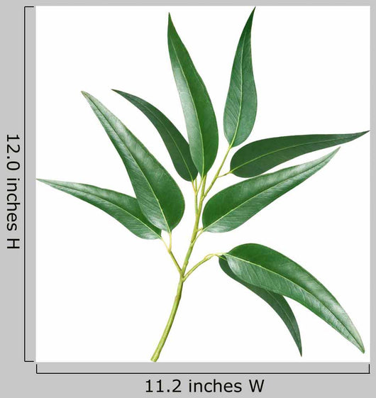Eucalyptus Wall Decal