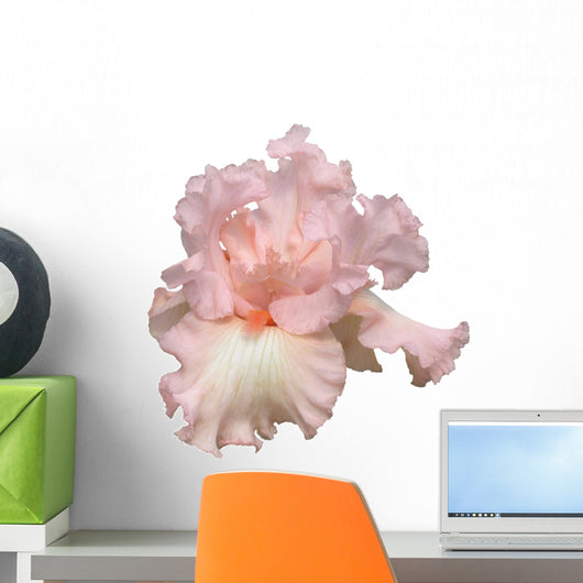 Beverly Sills Iris Hybrid Wall Decal