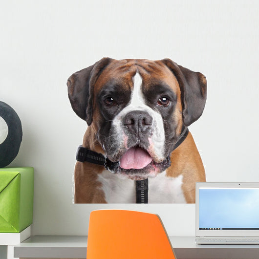 Boxer dog Wall Decal