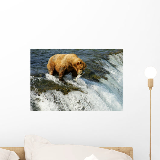 Grizzly bear Wall Mural