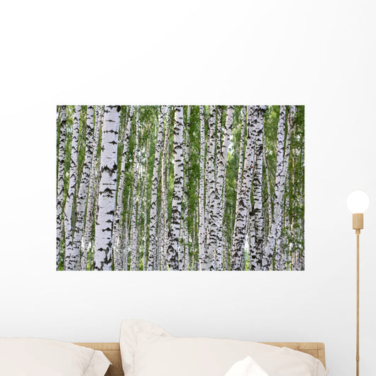 Summer Birch Wood Wall Decal