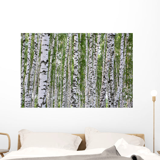 Summer Birch Wood Wall Decal