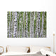 Summer Birch Wood Wall Decal