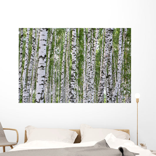 Summer Birch Wood Wall Decal
