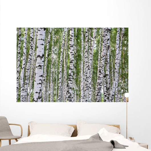 Summer Birch Wood Wall Decal
