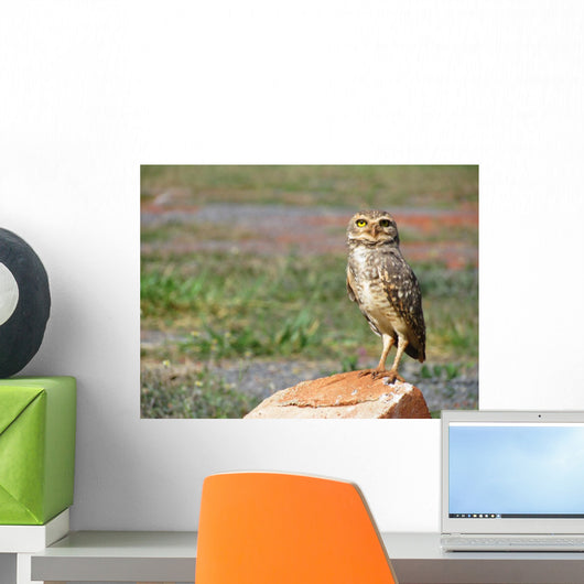 Lonely Owl with Fixed Wall Mural