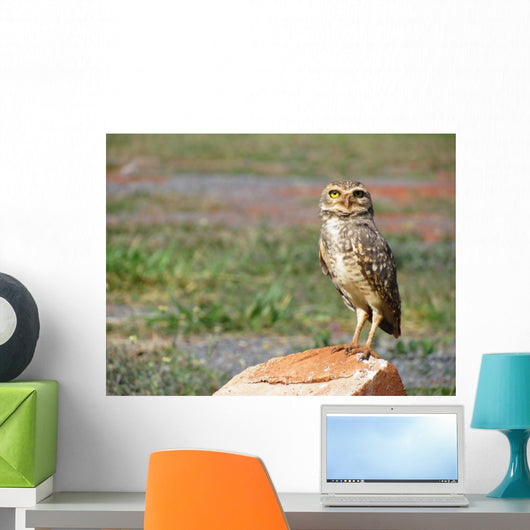 Lonely Owl with Fixed Wall Mural