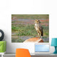 Lonely Owl with Fixed Wall Mural