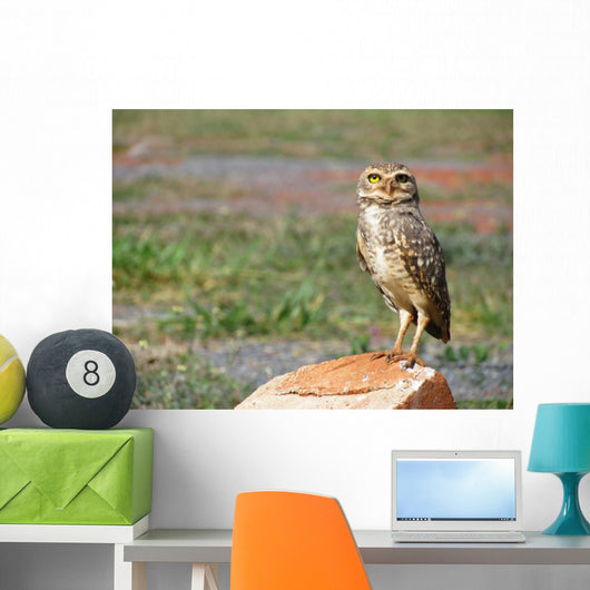 Lonely Owl with Fixed Wall Mural