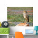 Lonely Owl with Fixed Wall Mural