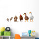 Livestock Wall Mural