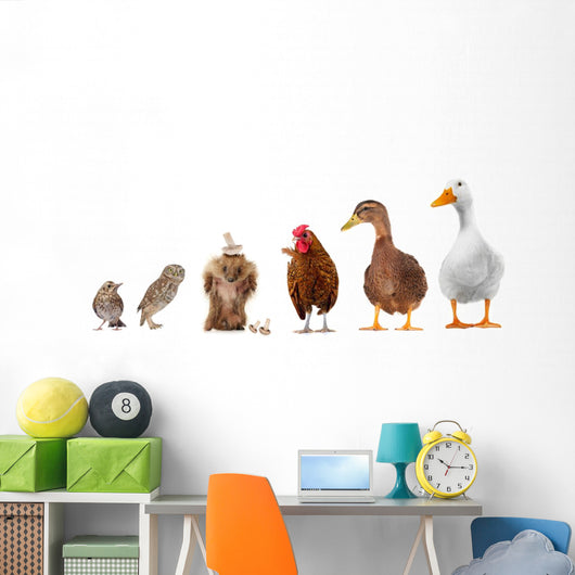 Livestock Wall Mural