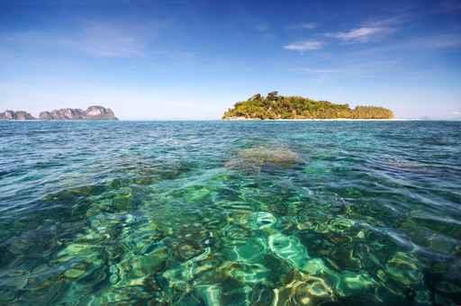 Bamboo Island Wall Decal