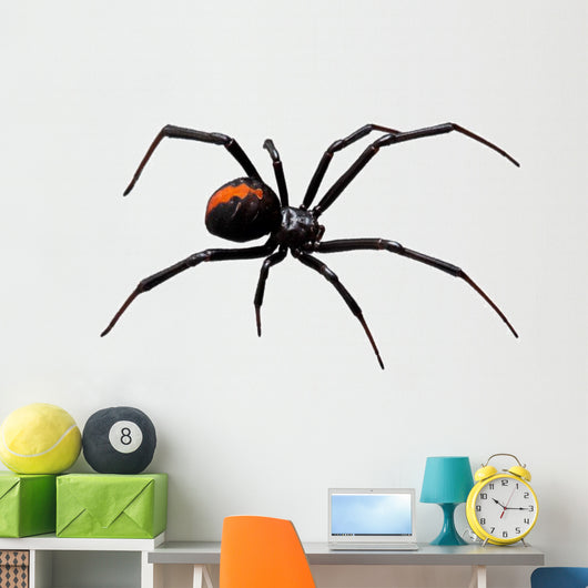 Black Widow Wall Decal