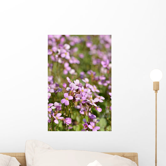 Macro D'aubriettes Wall Mural