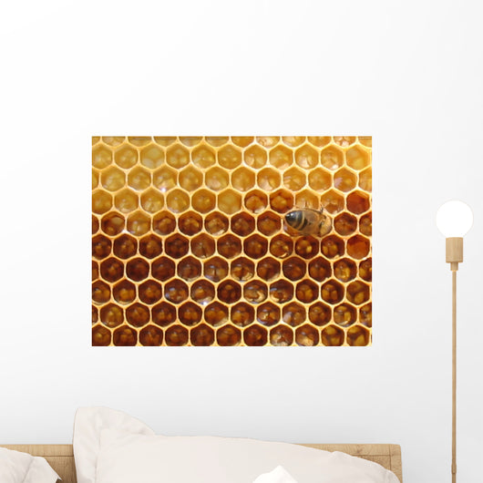 Honey in the Hive Wall Mural