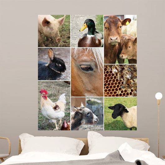 Collage Farm Animals