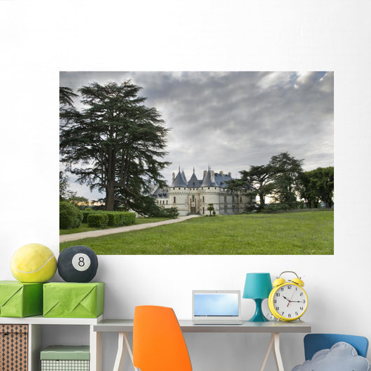 Path to Castle Chaumont-sur-loire Wall Mural