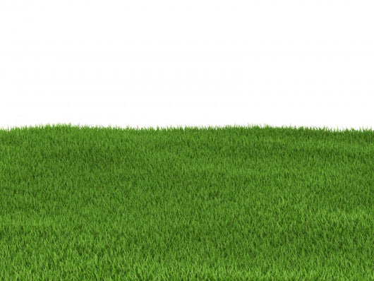 Green Grass 3D Render Wall Mural