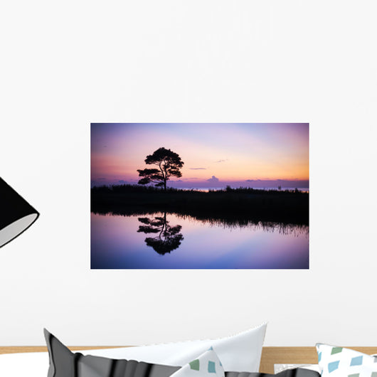 Single Tree along Edge