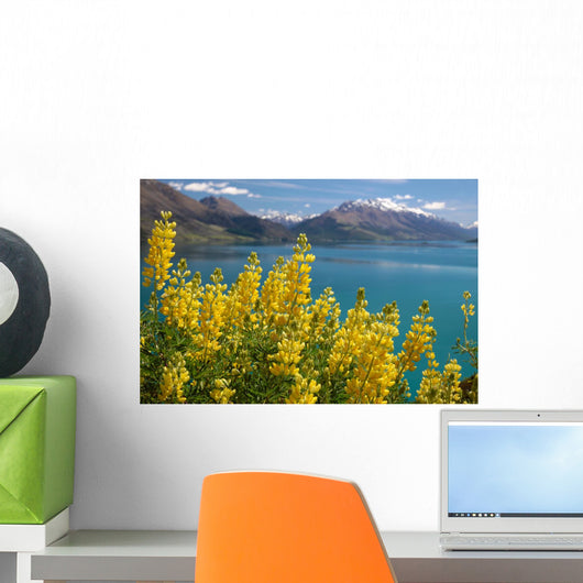 Yellow Lupins Lake Wakatipu