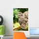 Young Owl Wall Mural