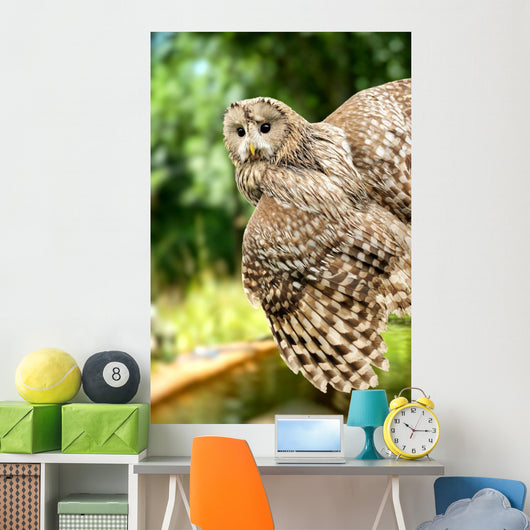 Young Owl Wall Mural