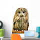 Owl Wall Decal