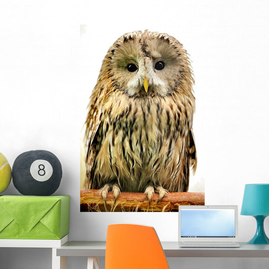 Owl Wall Decal