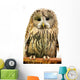 Owl Wall Decal