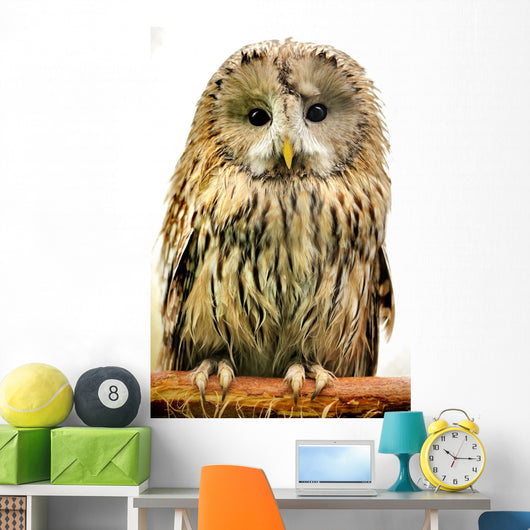 Owl Wall Decal