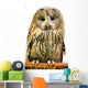 Owl Wall Decal