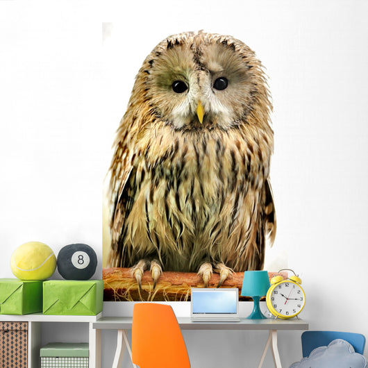 Owl Wall Decal
