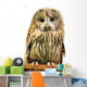 Owl Wall Decal