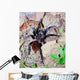 Mexican Red Rump Tarantula