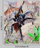 Mexican Red Rump Tarantula