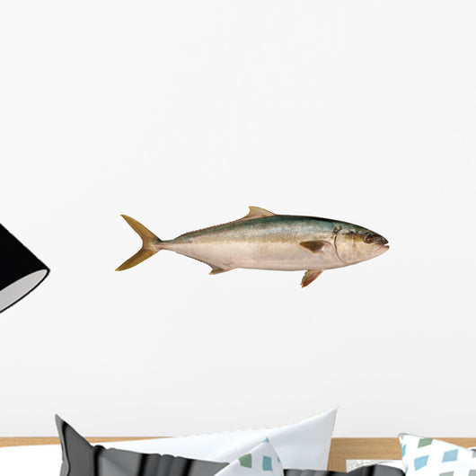 Yellowtail Tuna Wall Decal