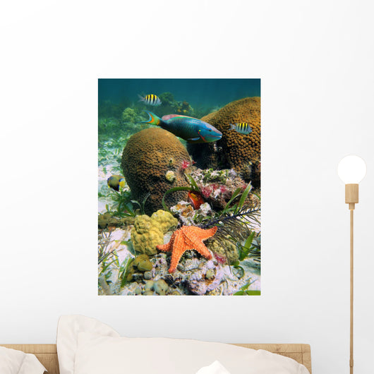 Marine Life