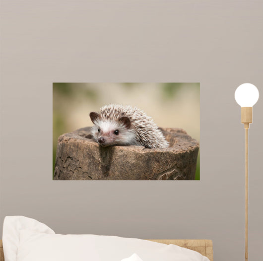 Hedgehog Wood