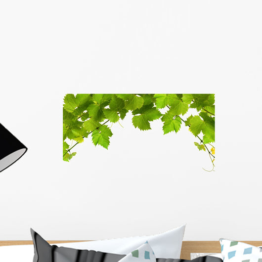 Bunch Green Vine Leaves